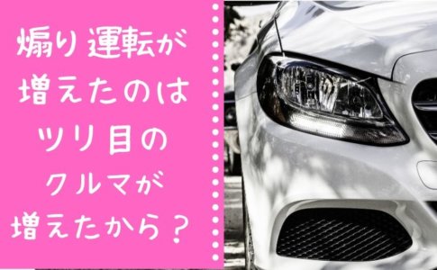 デッドニングにおすすめの防音材 断熱材まとめ 予算別 部位別の組み合わせレシピも紹介します 里山４ライフ