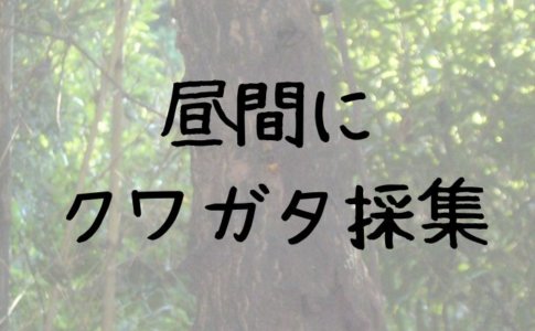 クヌギの見つけ方 栗 アベマキ コナラとの違いと特徴を解説 里山４ライフ