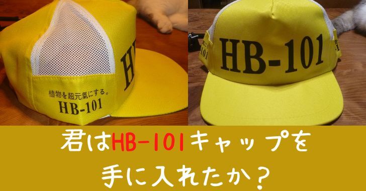 超大特価 フローラ HB-101 帽子 ×4個〜